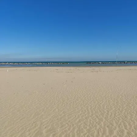 Conca D'oro Hotel Rimini