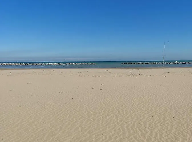 Conca D'oro Hotel Rimini